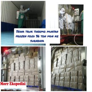 Sewa-Truk-Frozen-Food-1