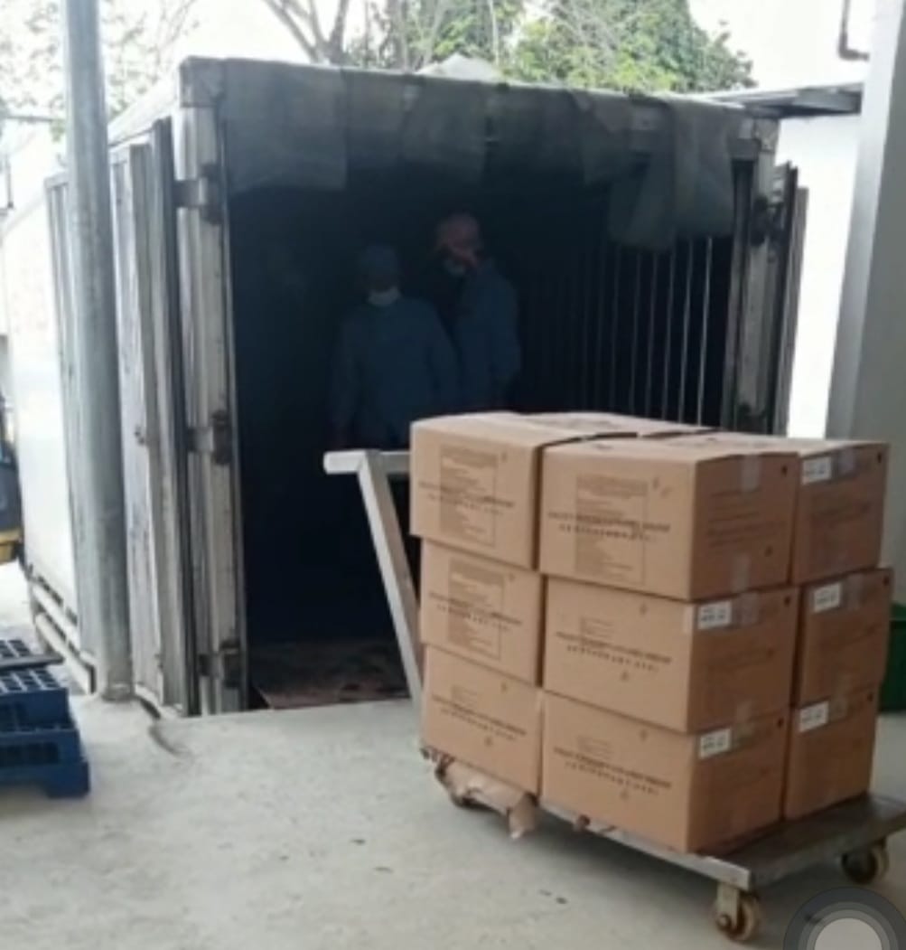 Pengiriman Frozen Food dari Medan ke Surabaya